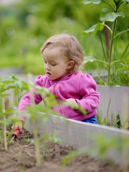 Potager aromatique